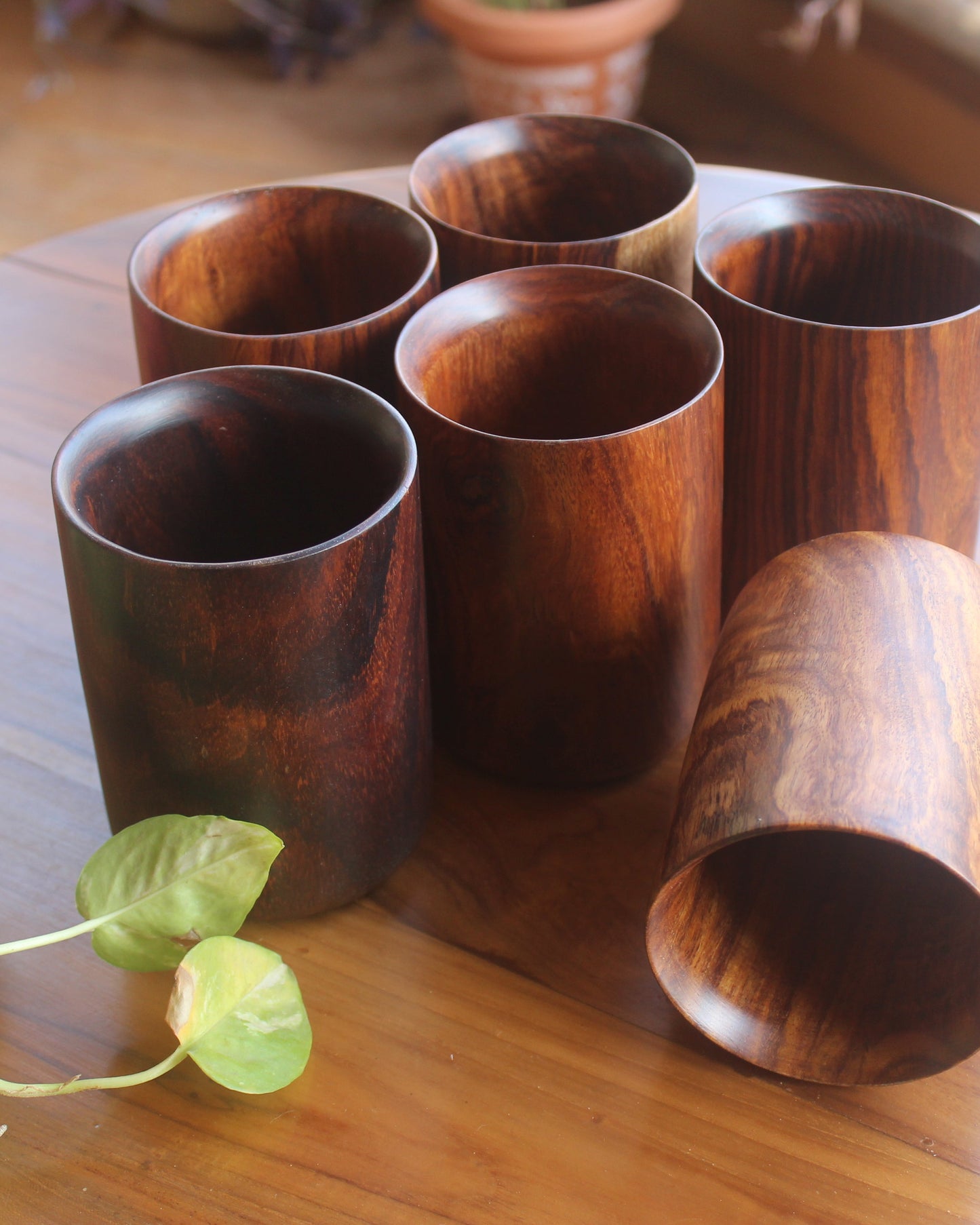 Paridhika - Teakwood Glass